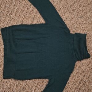 Womens Petit Dark Green Turtleneck Sweater